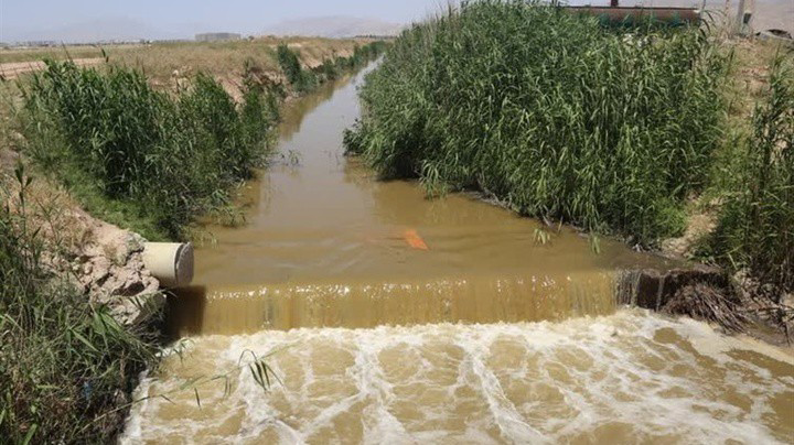 سلامت شهروندان شیرازی را میان مزارع آبیاری شده با فاضلاب جستجو کنید!