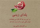 راه‌اندازی پویش‌های یلدای زینبی و مجازی در فارس