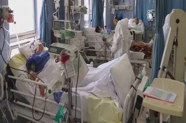 وضعیت ۲۴۳ بیمار کرونایی در فارس وخیم است