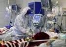 اُفت و خیزهای آمار کرونا در فارس، بیش از ۸۲ هزار بیمار کووید ۱۹ در شیراز شناسایی شد