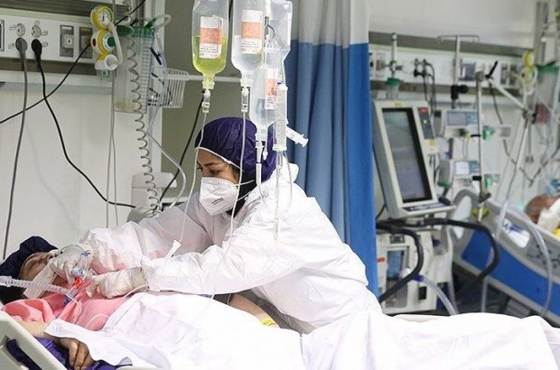 معاون بهداشت دانشگاه علوم پزشکی شیراز: آمار مبتلایان به کرونا در فارس رو به افزایش است