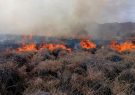 ۴۸ هکتار از اراضی طبیعی فیروزآباد در آتش سوخت