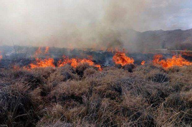 مهار آتش سوزی در مراتع اقلید