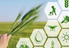 آمادگی شعب بانک کشاورزی فارس برای پرداخت تسهیلات به کشاورزان