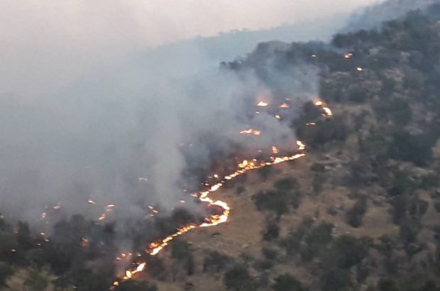 آتش در ارتفاعات روستای قوام آباد پاسارگاد