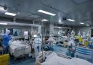 بهبودی ۲۶۱ هزار و ۸۸۷ بیمار مبتلا به کرونا در فارس