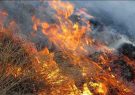 آتش‌سوزی گسترده در منطقه کوه برز