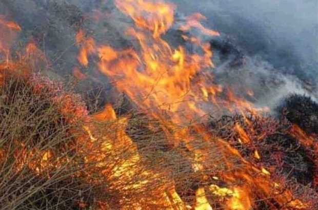 آتش‌سوزی گسترده در منطقه کوه برز