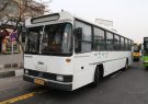 شه‌دوست شیرازی: اتوبوس‌های شبانه در سطح شیراز راه‌اندازی می‌شود
