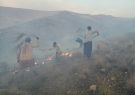 آتش در ارتفاعات سه شهرستان فارس