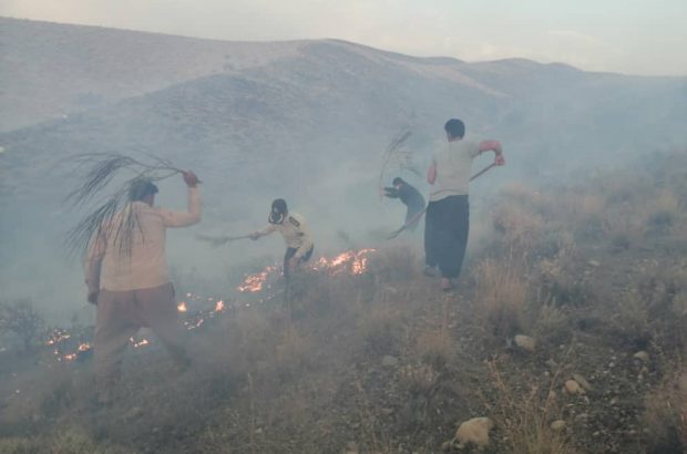 آتش در ارتفاعات سه شهرستان فارس