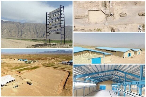 یک زمین خالی در استان فارس ۳۰ هزار سهامدار دارد