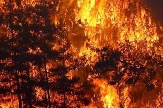 آتش سوزی در ارتفاعات پاسارگاد