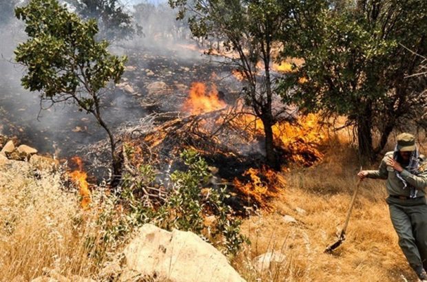 مرگ ۳ نفر در آتش سوزی ارتفاعات تنگ هایقر