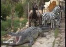 ساخت نخستین باغ وحش مصنوعی ایران در شیراز