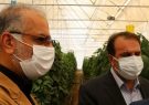سرمایه لازم برای متقاضیان گلخانه در فارس فراهم می‌شود