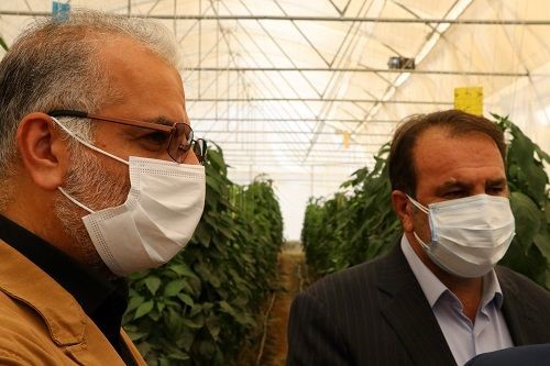 سرمایه لازم برای متقاضیان گلخانه در فارس فراهم می‌شود