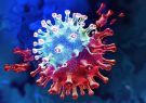 ترکیب ضد ویروسی که از ورود کرونا به سلول‌ها جلوگیری می‌کند