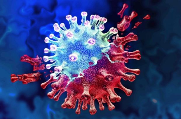ترکیب ضد ویروسی که از ورود کرونا به سلول‌ها جلوگیری می‌کند