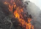 آتش‌سوزی در کوه‌های قبله نی‌ریز