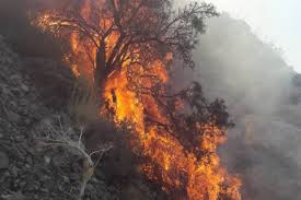 آتش‌سوزی در کوه‌های قبله نی‌ریز