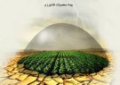 بیمه محصولات پاییزه کشاورزان و باغداران در فارس