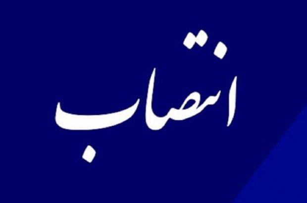 مدیر کل دفتر امور روستایی و شوراهای استانداری فارس منصوب شد