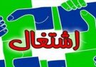ثبت ۴٩٧ اشتغال در سامانه رصد جهاد کشاورزی شیراز