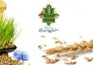 پایان دی، آخرین مهلت بیمه محصولات باغی فارس