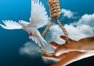 آزادی ۲۴۲ زندانی در سالگرد شهادت سردار دل‌ها