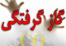 نجات جان ۴۸ مسافر نوروزی از خطر مرگ خاموش در شیراز