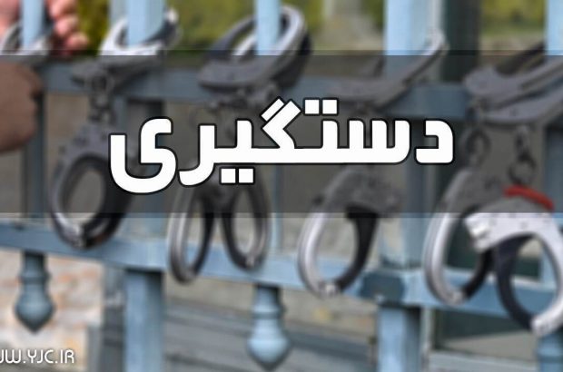 دستگیری ۷۸ متهم تحت تعقیب در شیراز