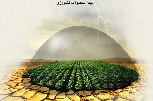 کشاورزان فارس محصولات بهاره را بیمه کنند