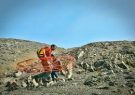 نجات جان دو کوهنورد گرفتار در ارتفاعات سپیدار خفر