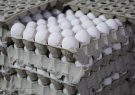 کاهش قیمت مرغ و تخم مرغ در بازار فارس