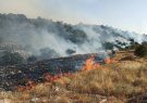 آتش سوزی به جانِ پوشش گیاهی  ده باه روستای دِهنو تنگ خاص بخش مرکزی ممسنی افتاد
