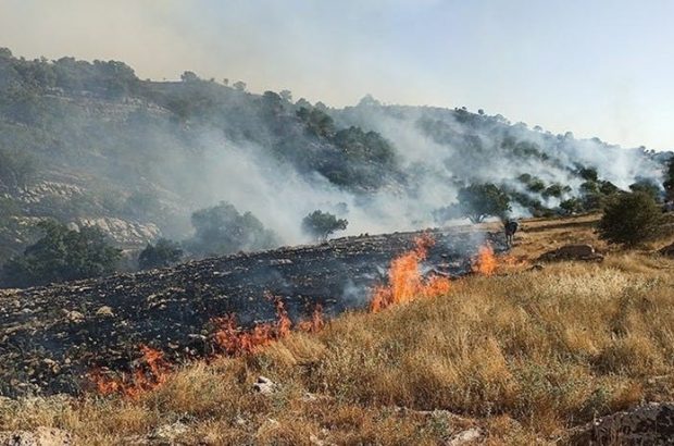 آتش سوزی به جانِ پوشش گیاهی  ده باه روستای دِهنو تنگ خاص بخش مرکزی ممسنی افتاد