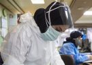 روز بدون فوتی کرونا در فارس و وضعیت وخیم ۲۹ بیمار مبتلا به کرونا دراستان