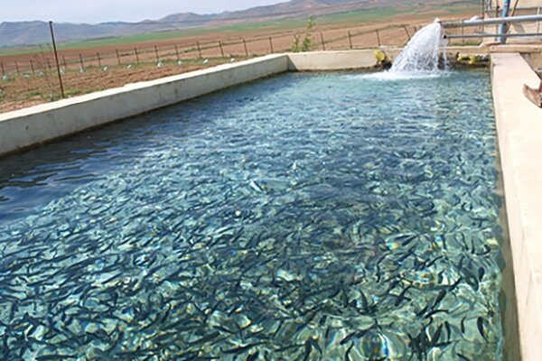 خسارت میلیاردی سیل در نی ریز/خسارت مونسون به ۱۳ مزرعه پرورش ماهی فارس