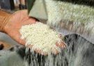 کشف انبار احتکار برنج در شیراز