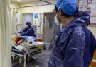 ۳۵۰ بیمار کرونایی روی تخت بیمارستان‌های فارس