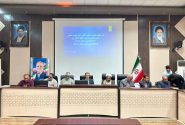 سرپرست سازمان جهاد کشاورزی فارس: مشاغل کوچک و خانگی روستایی حمایت و تقویت می شود