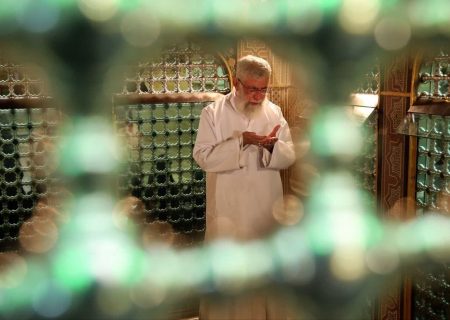   نگاهی به زندگینامه ولی امر مسلمین جهان شهید امام خامنه ای
