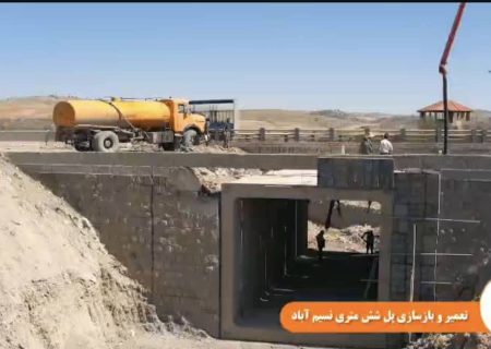 با تلاش شبانه روزی راهداران؛بازسازی پل آسیب‌دیده محور ارژن–شیراز پایان یافت   