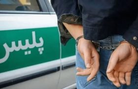کشف ۱۲ باند سرقت در فارس