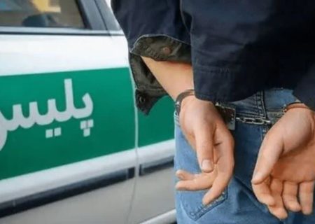 کشف ۱۲ باند سرقت در فارس