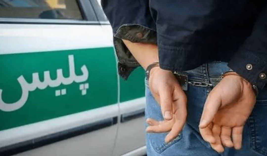 کشف ۱۲ باند سرقت در فارس