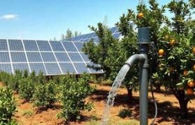 طرح تشویقی برق رایگان برای کشاورزان صرفه جو در فارس