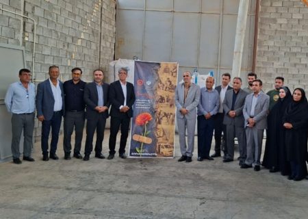 اشتغال، بهترین درمان برای بازگشت به زندگی