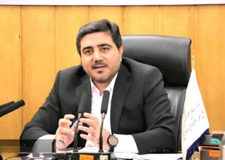 مدیرکل امور اقتصادی استان اعلام کرد ثبت بیش از ۱۵ هزار درخواست مجوز کسب‌وکار در فارس طی یک ماه